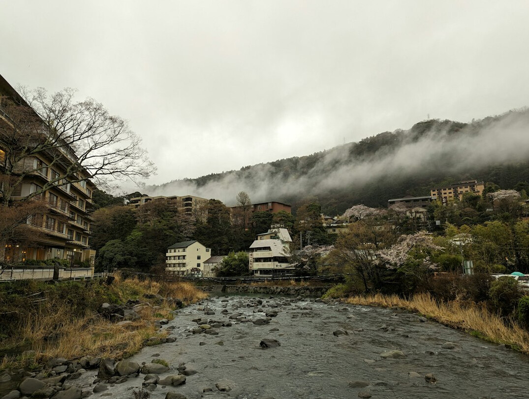 Outdoor hot spring onsen in Hakone with mountain view