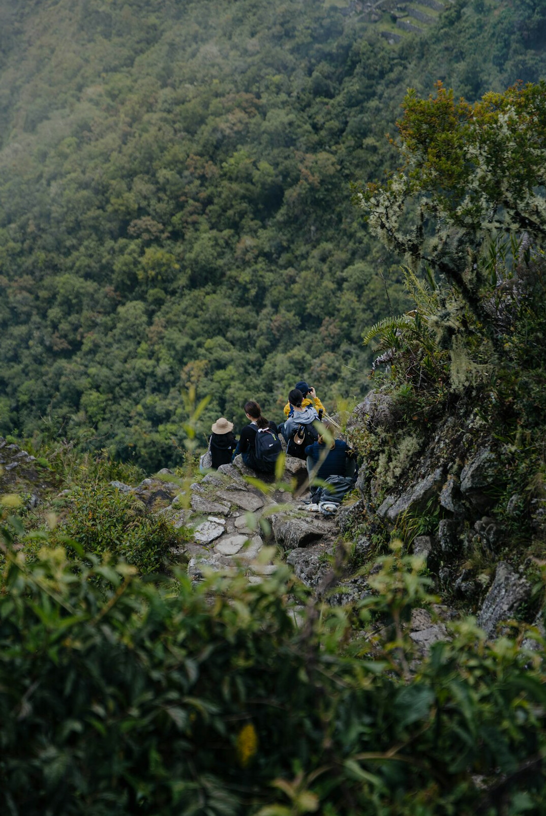 Japanese senior hikers resting and smiling on a scenic overlook during a group hike