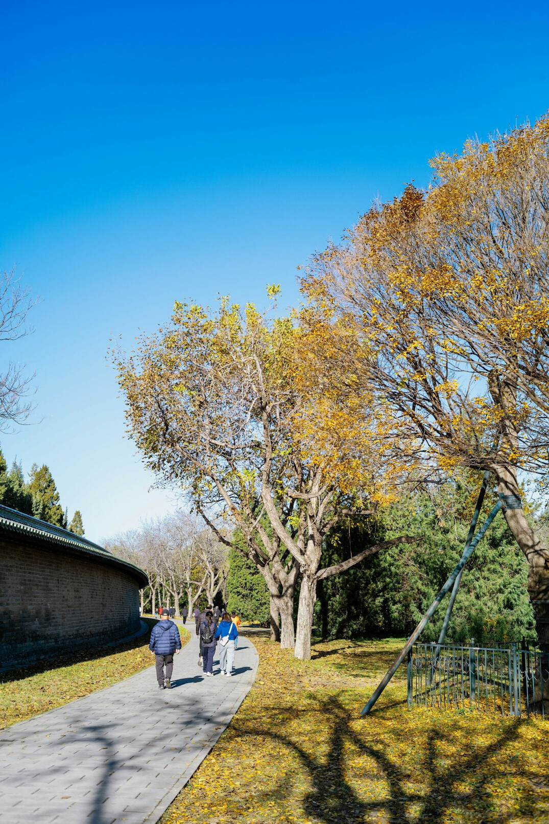 Group of active Japanese seniors laughing together while walking in a sunny park